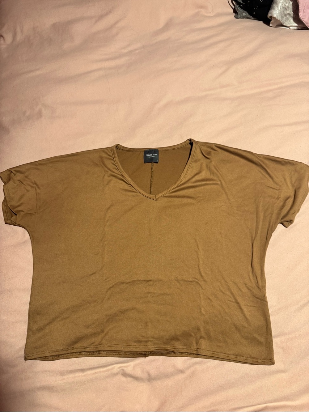 Short-Sleeve V-Neck Boxy Top